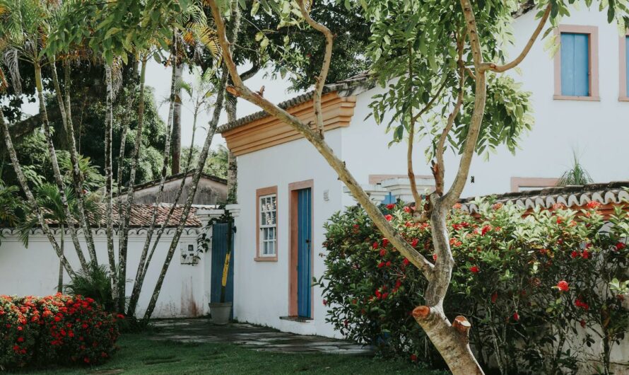 Cómo elegir el seguro adecuado para tu patinete eléctrico