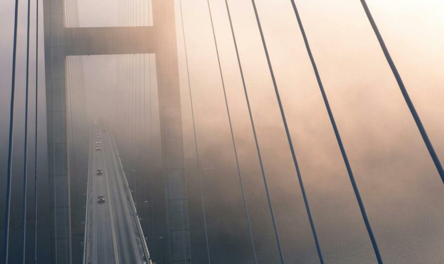 Cómo ajustar la suspensión de tu patinete eléctrico para una conducción más suave
