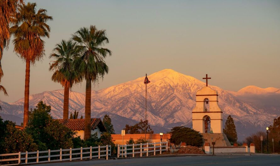 Cómo seleccionar el sistema de asistencia al conductor para tu patinete eléctrico
